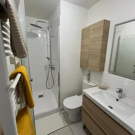 Apartment Joli T2/ Tram/ Clim/ Parking/ Wifi/ Piscine *