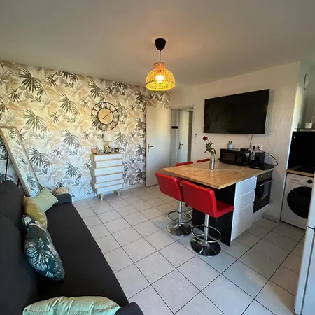 Apartmán Joli T2/ Tram/ Clim/ Parking/ Wifi/ Piscine *