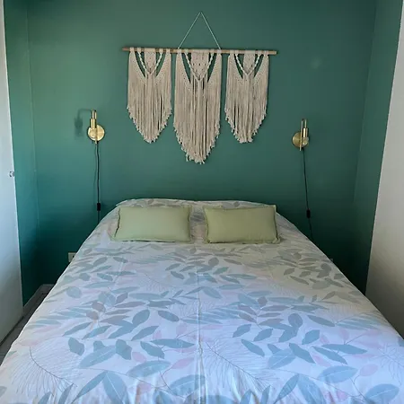 Apartment Joli T2/ Tram/ Clim/ Parking/ Wifi/ Piscine